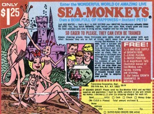 Sea-monkey Family - toptenz.net