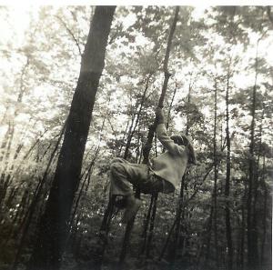 Demonstrating how high I can climb a sapling before it bends.